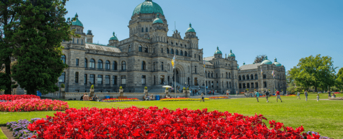 Artificial Turf and Urban Heat Islands: Cooling Down Victoria’s Neighborhoods