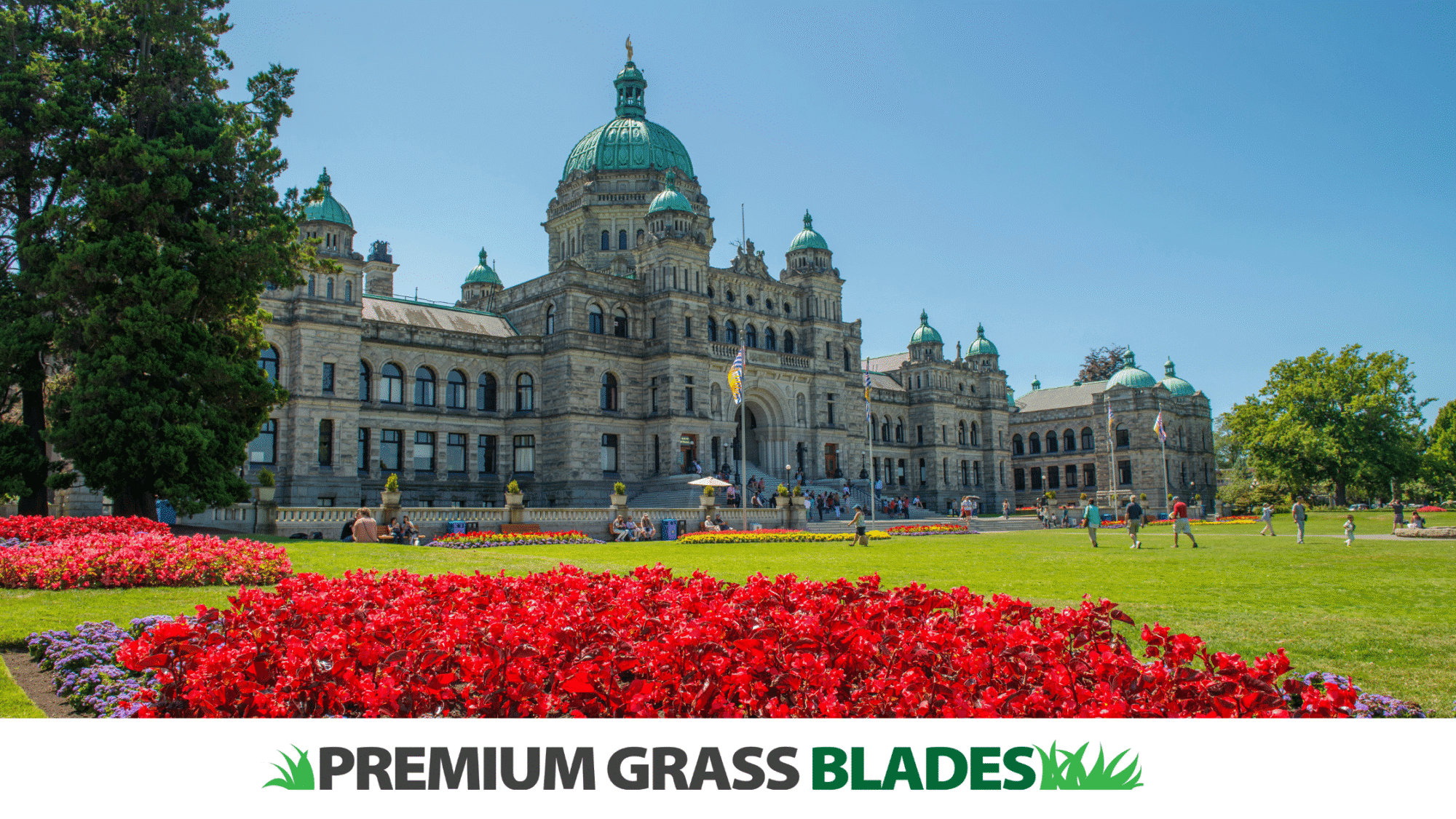 Artificial Turf and Urban Heat Islands: Cooling Down Victoria’s Neighborhoods