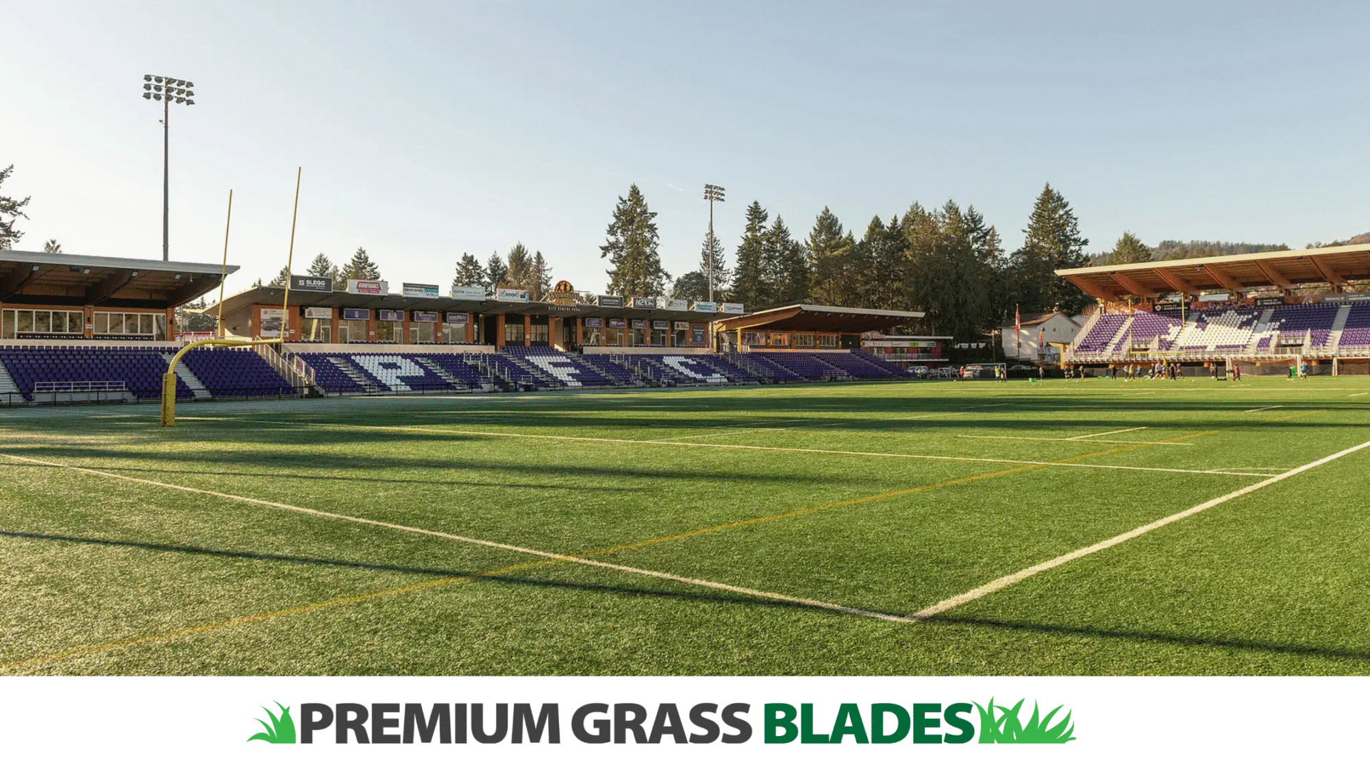 Understanding Artificial Turf Regulations in Langford, BC: What Homeowners Need to Know