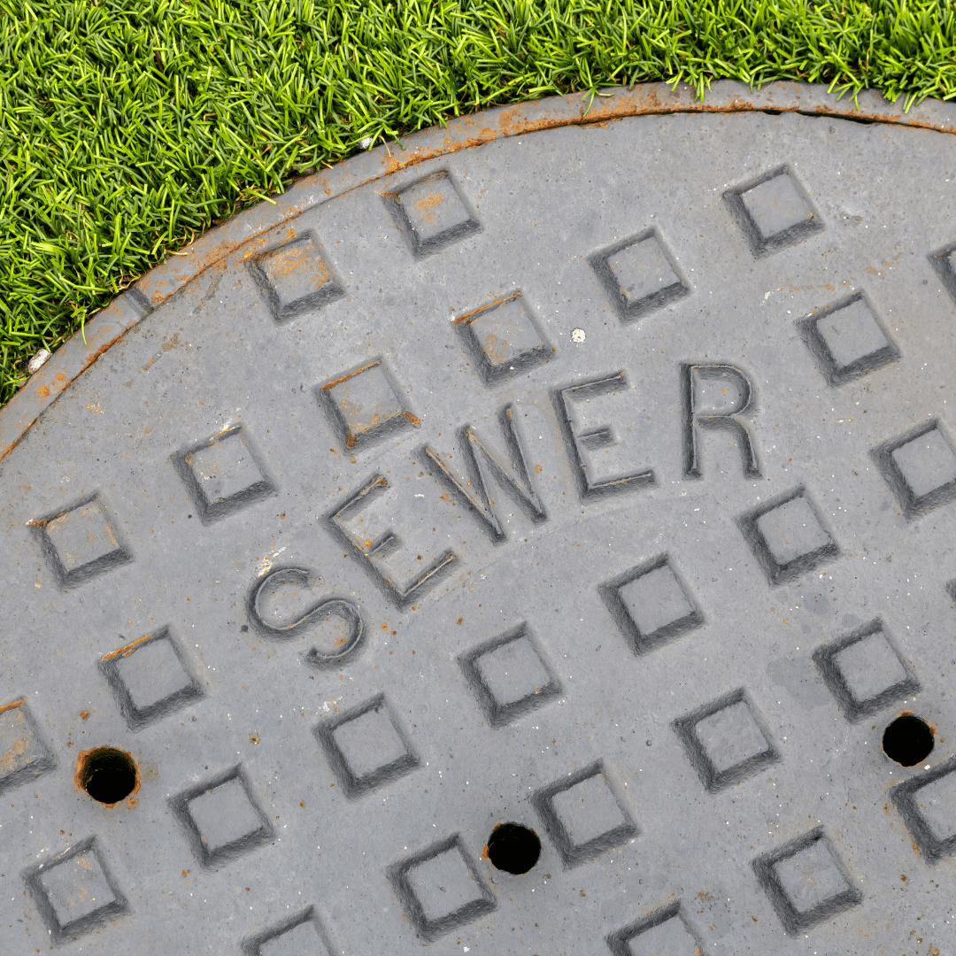 Synthetic Grass vs. Natural Grass: The Science Behind Premium Grass Blades Turf