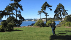 Saxe Point: Coastal Living at Its Finest