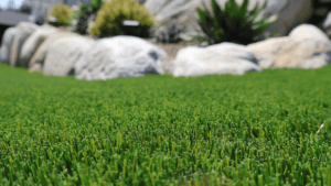 Boost Property Value with Artificial Grass in Esquimalt