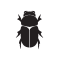 PGB Custom Icon