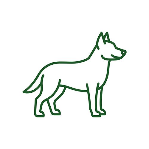 PGB Custom Icon