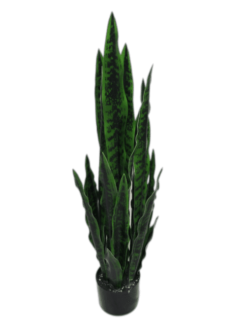 24IN ARTIFICIAL SNAKE PLANT