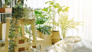 artificial plants
