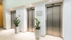artificial plants