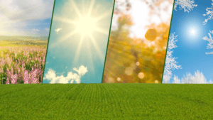 Artificial Turf Care