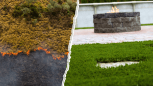 Natural Grass and Artificial Turf