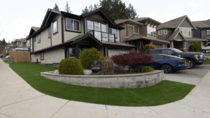 Artificial Turf