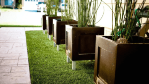 Integrating with Edible Landscaping
