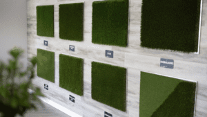Eco-Friendly Turf