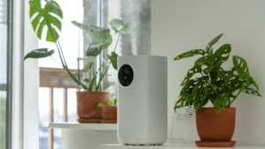 artificial plants