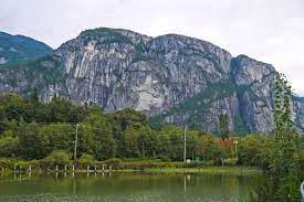 Artificial Turf in Squamish