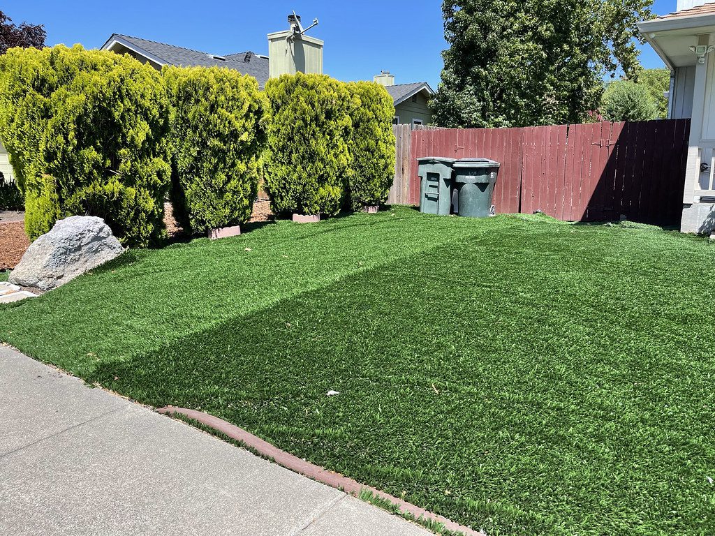 Artificial Turf