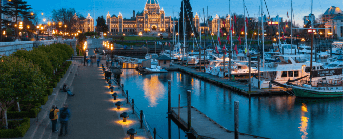 Artificial Turf for Coastal Climates: Benefits-for-Victoria's-South-Island-Residents