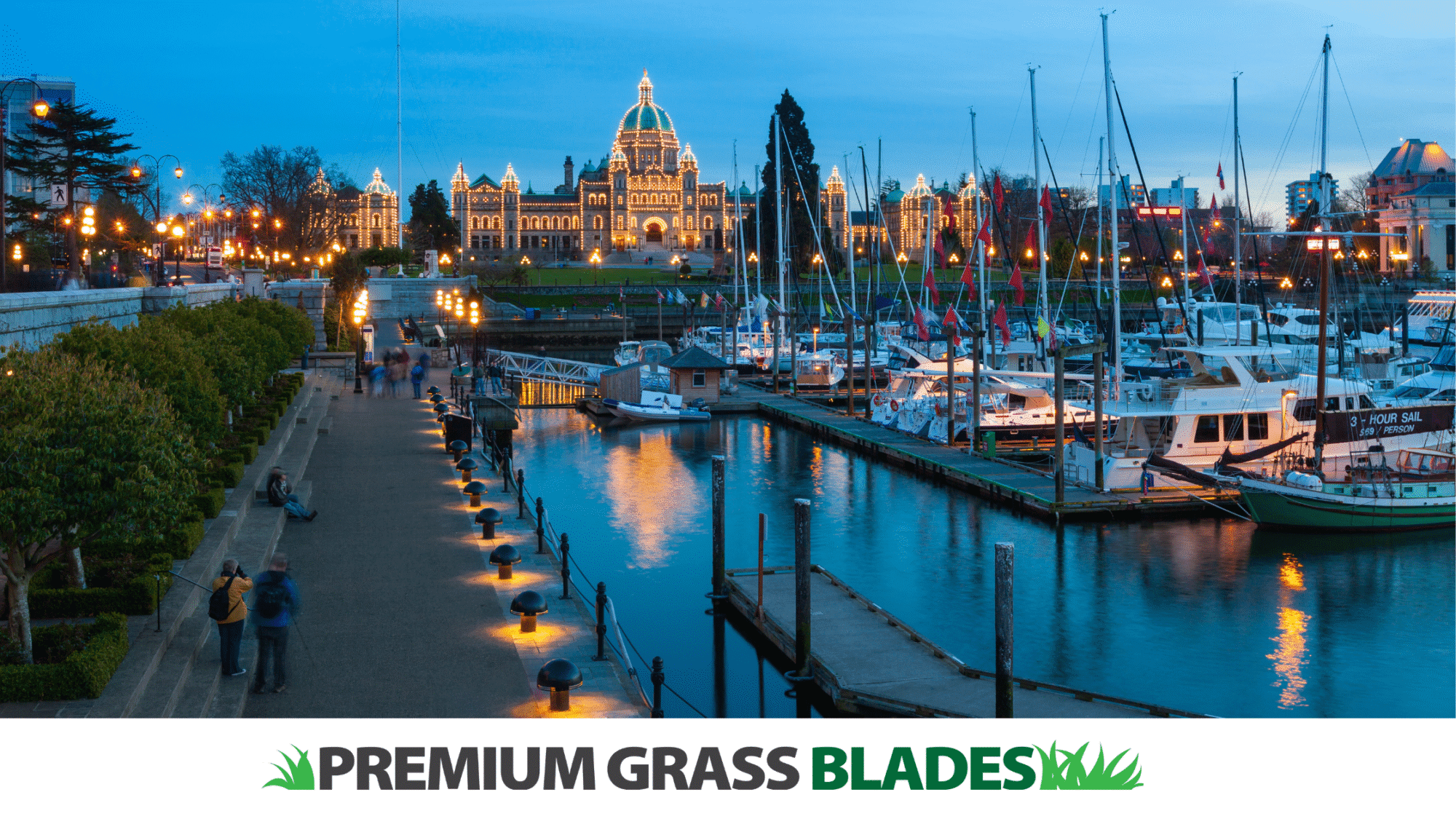 Artificial Turf for Coastal Climates: Benefits-for-Victoria's-South-Island-Residents