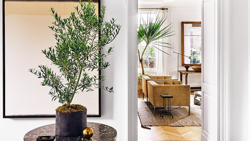 The Fascinating World of Indoor Artificial Palms: Their Allure and Benefits