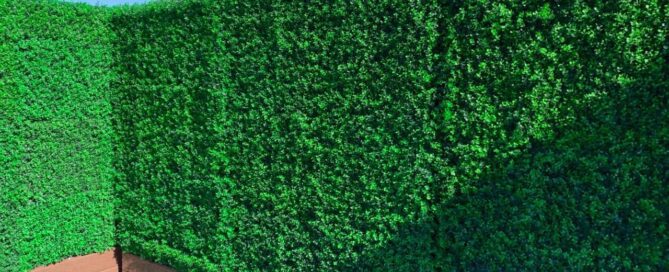Discover the Versatility and Benefits of UV Resistant Artificial Boxwood Panels from Premium Grass Blades