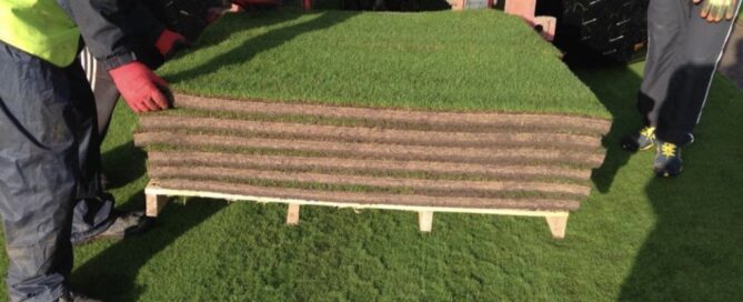 Quality And Sustainability: The Cornerstones Of Premium Grass Blades