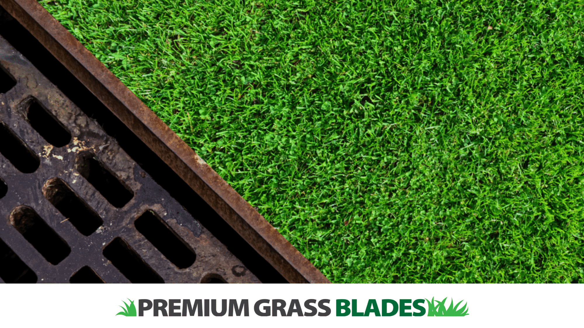 Best Drainage Solutions for Artificial Grass in Duncan