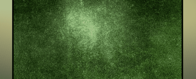 How-to-revitalize-matted-turf-blades