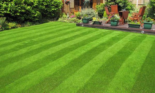 The Beauty of Artificial Turf: A Perfect Choice for Homes & Businesses in Victoria, BC The Beauty of Artificial Turf: A Perfect Choice for Homes & Businesses in Victoria, BC