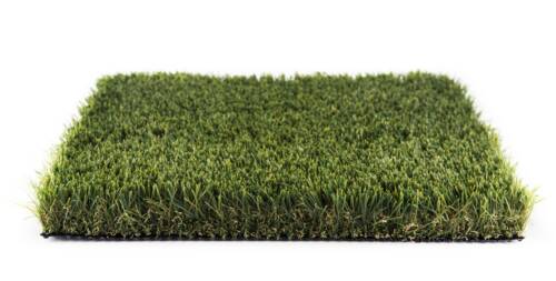 Premium Grass Blades Everglades Angle profile