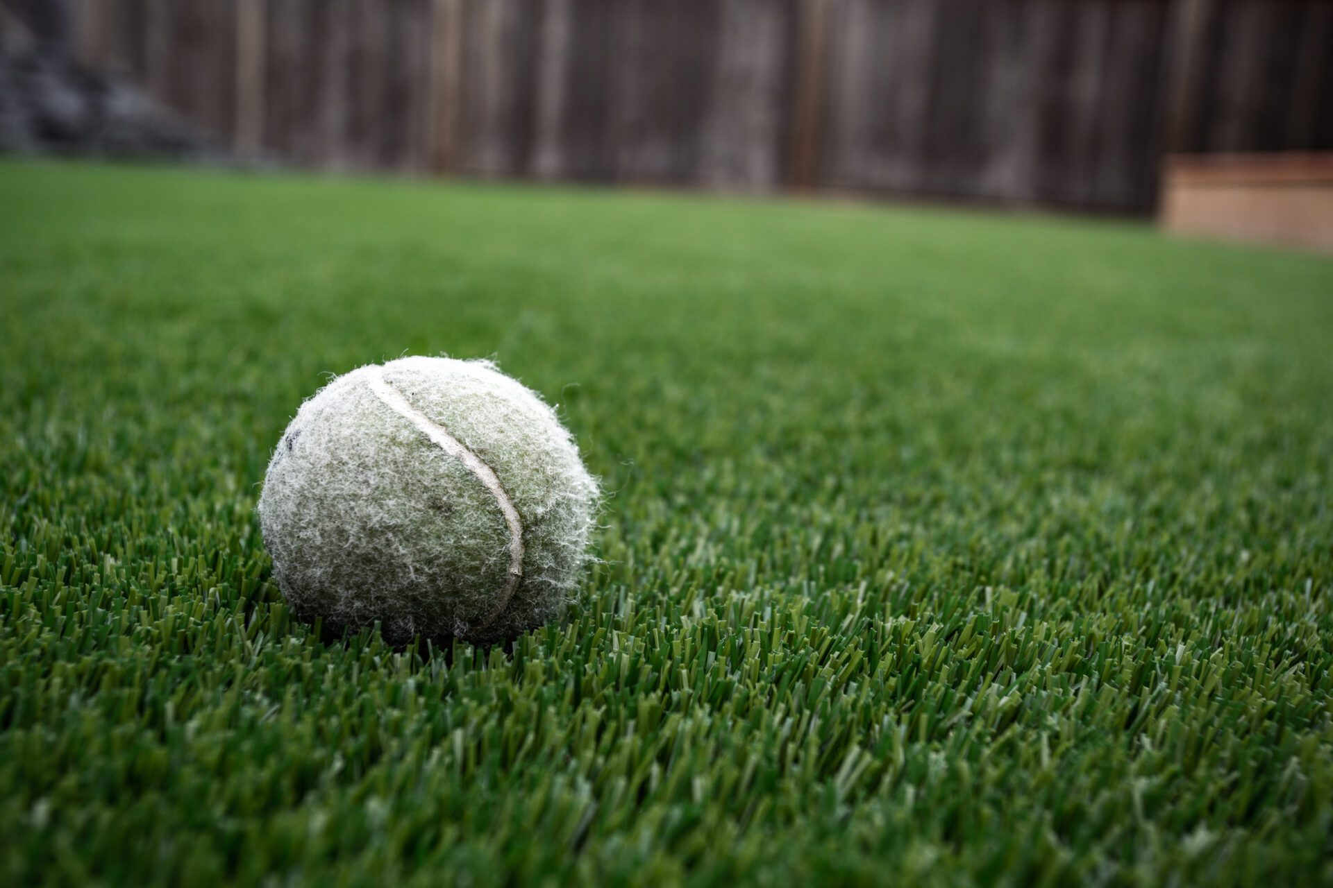 Fix Matted or Dented Artificial Turf Blades Fix Matted or Dented Artificial Turf Blades