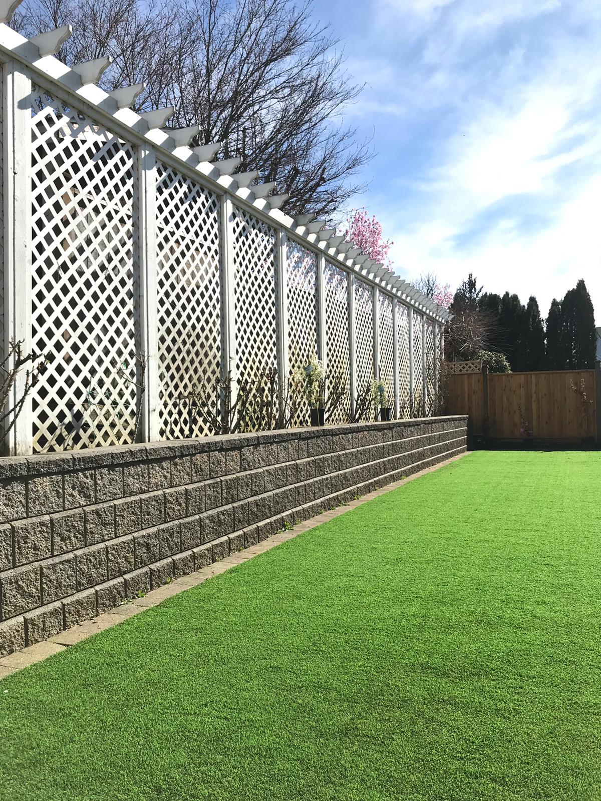 Premium-Grass-Blades-Synthetic-Artifical-Turf-Fraser-Valley-Jade-Dog-Run Artificial grass installed for a dog run