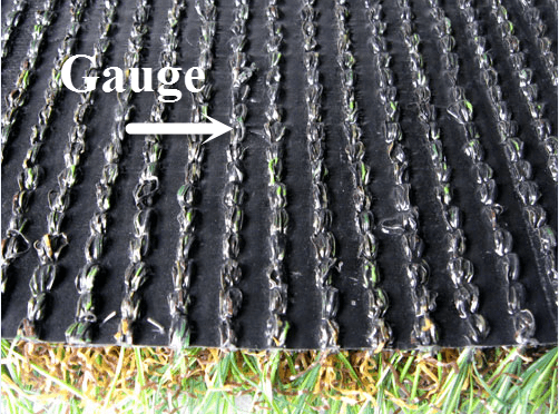 Premium-Grass-Blades-Synthetic-Artificial-Turf-Backing-with-Gauge installing artificial turf from premium grass blades The gauge or stitch rows of the backing