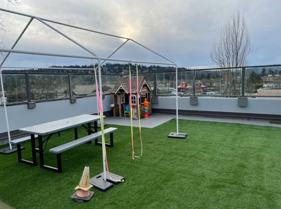Premium Grass Blades Evergreen in CoquitlamRooftop Patio