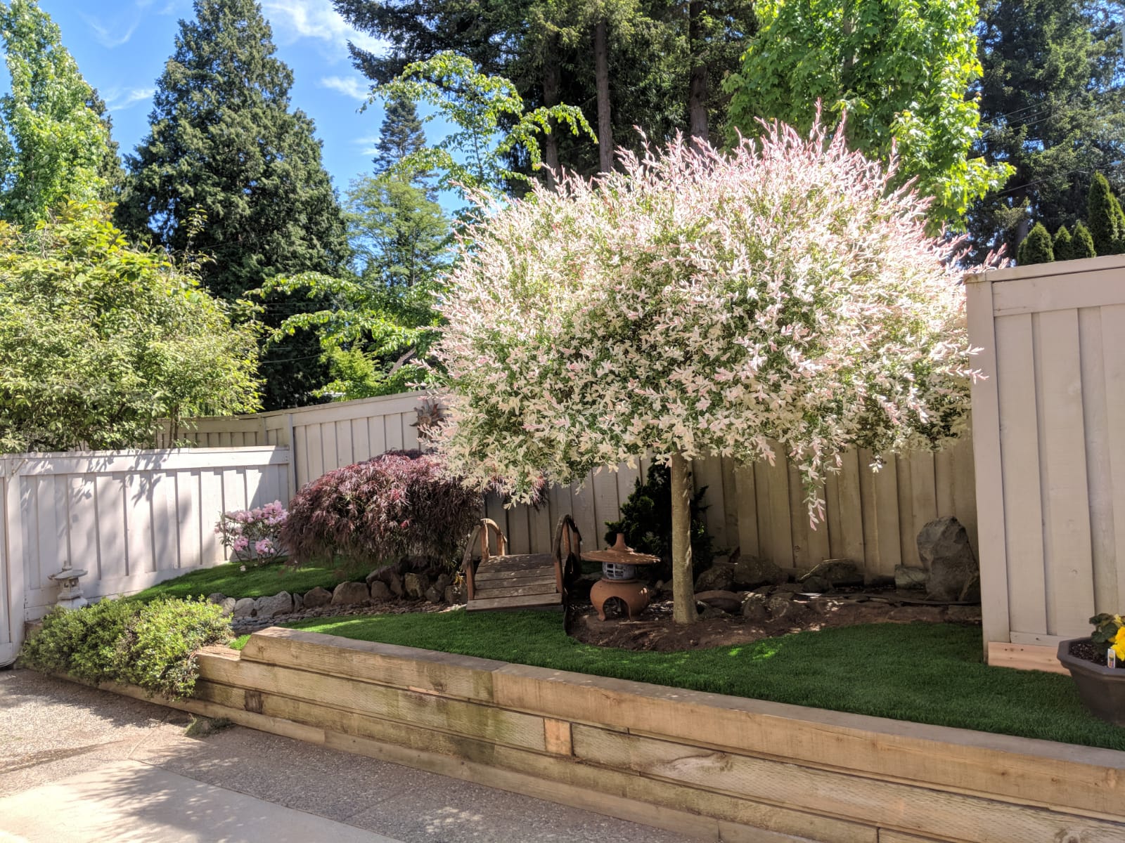 Premium Grass Blades Synthetic-Artificial Turf: Lush line of Grass - 56th Tsawwassen custom garden