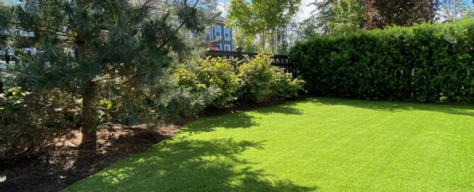 Coquitlam’s Green Revolution: How To Choose The Best Artificial Turf For Your Home