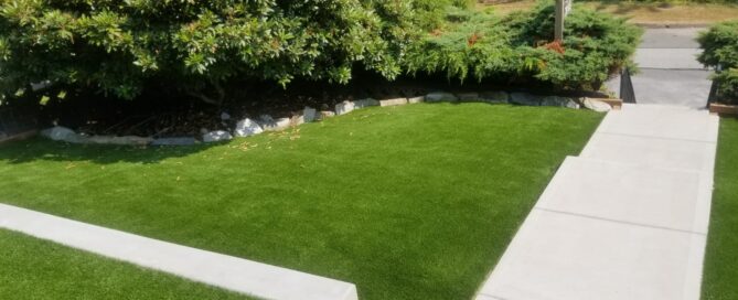 Synthetic grass lawn bordered by concrete walkway and garden shrubs.