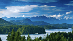 Tofino
