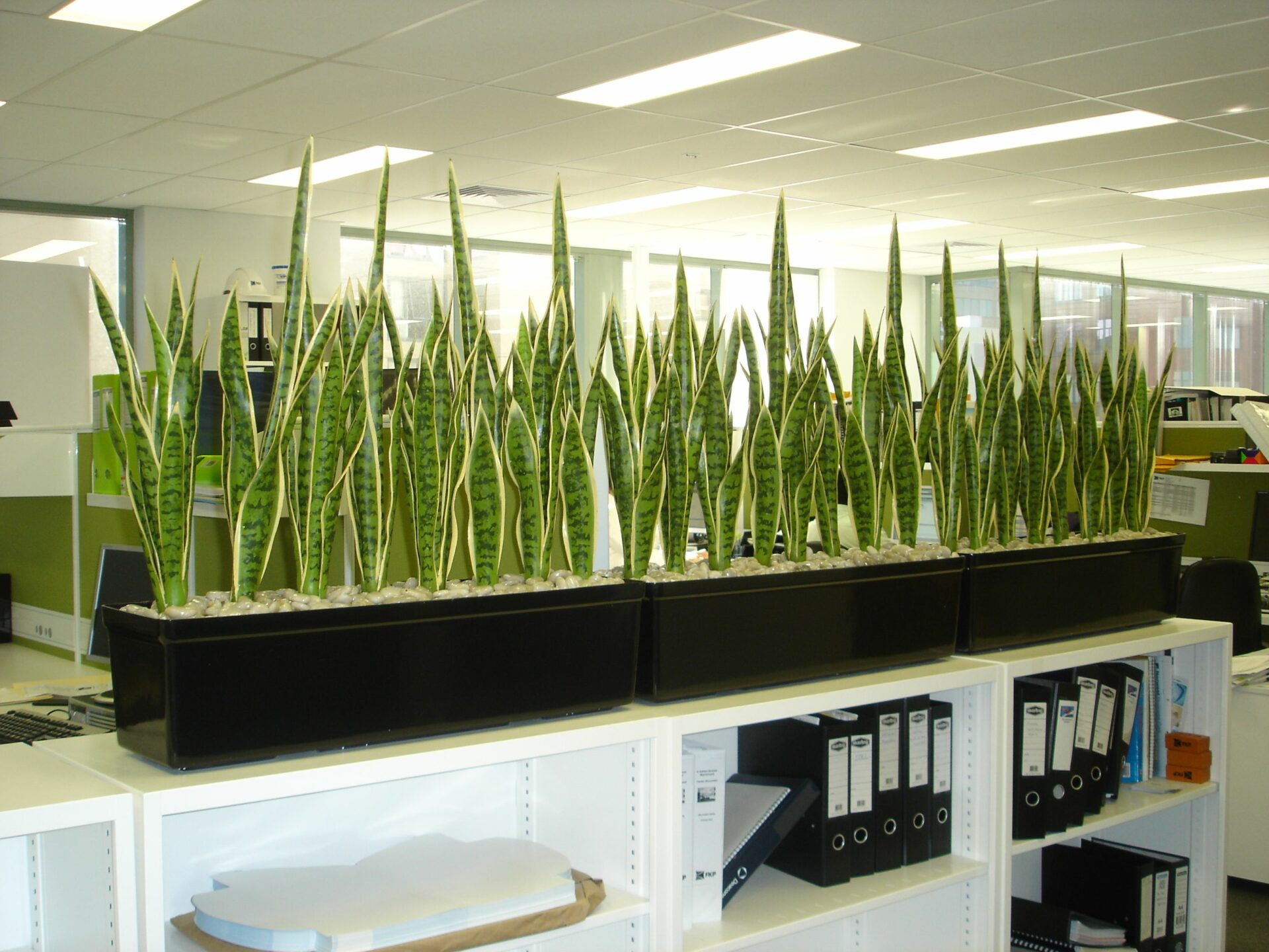 The Science Behind Premium Grass Blades: Enhancing Playability And Sustainability