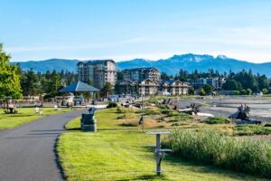 Artificial Grass in Parksville Artificial Grass in Parksville