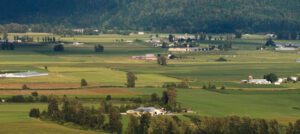 Artificial Turf in The Fraser Valley