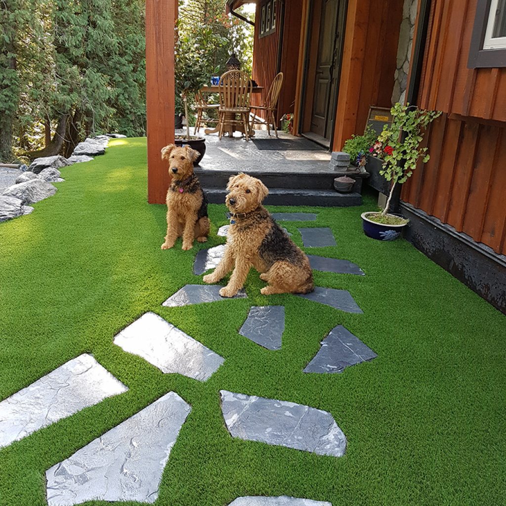ideas-dogs-1024×1024-optimized