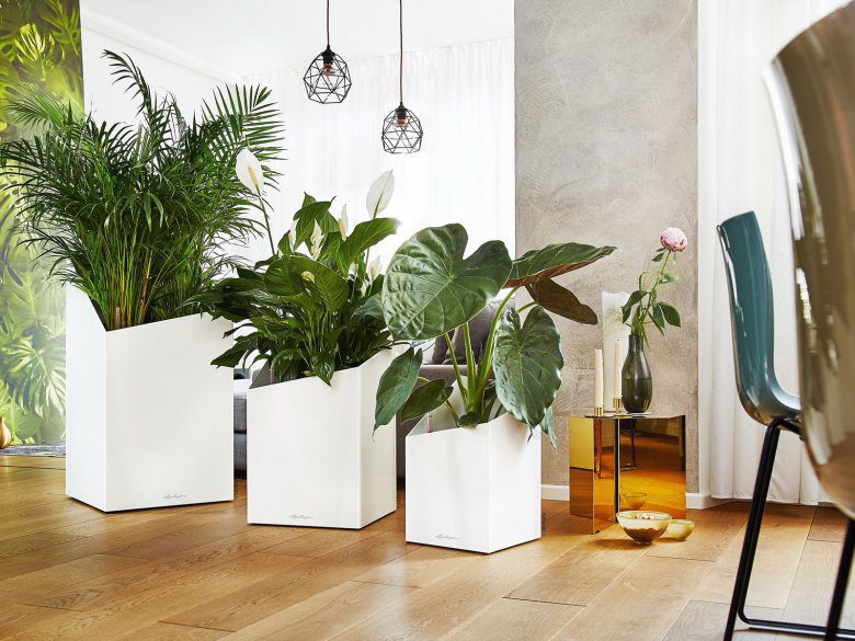 The Fascinating World of Indoor Artificial Palms: Their Allure and Benefits