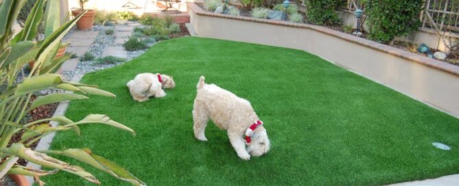 Benefits Of Premium Grass Blades’ Artificial Turf For Pet Owners