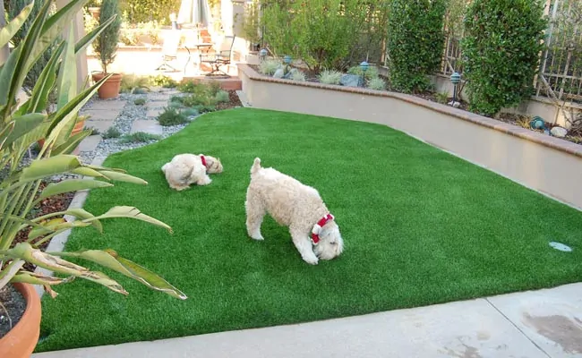 Simplifying Puppy Training With Premium Grass Blades Puppy Training Mats