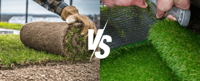 Synthetic Grass vs. Natural Grass: The Science Behind Premium Grass Blades Turf