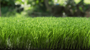turf under the sun melts