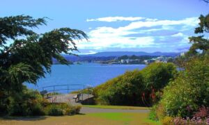 walkway-view Artificial Turf in Esquimalt